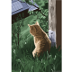 Plakat ,,Najskuteczniejszy Drapieżnik Na Ziemi" 50 x 70 cm